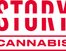 story logo new
